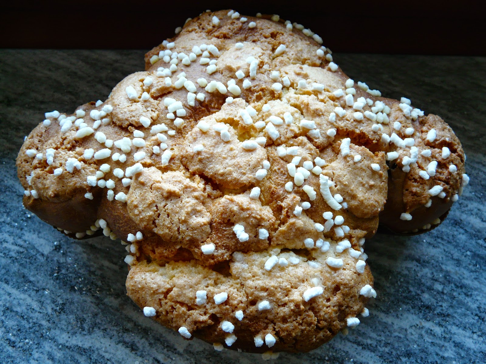 Colomba di Pasqua Bimby TM31 TM5 TM6 - Ricette Bimby