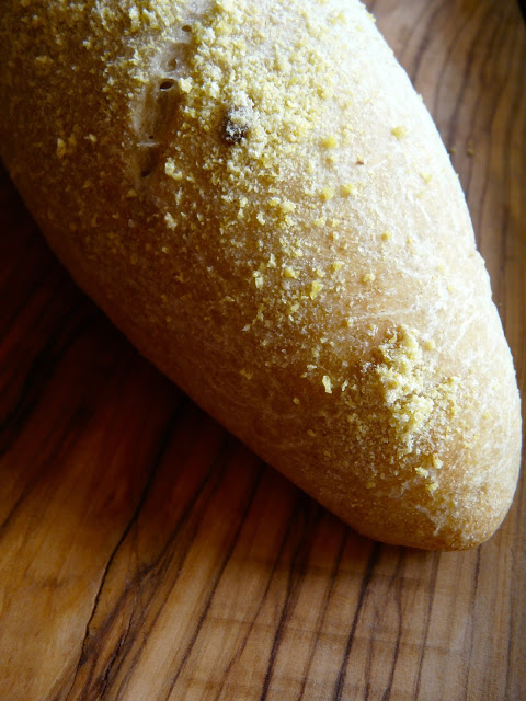 pane-mais-semi-girasole