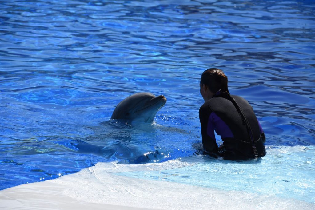 Marineland Antibes