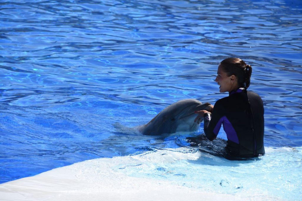 MyMarineland