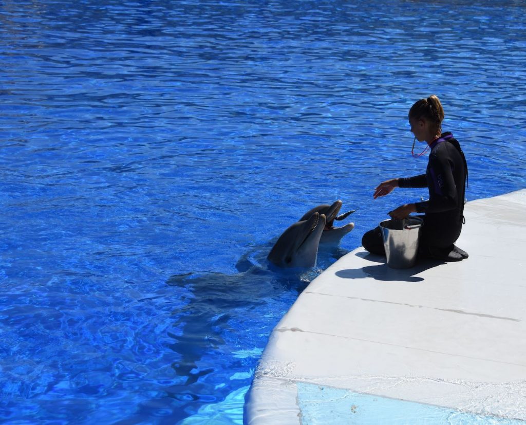 Marineland Antibes