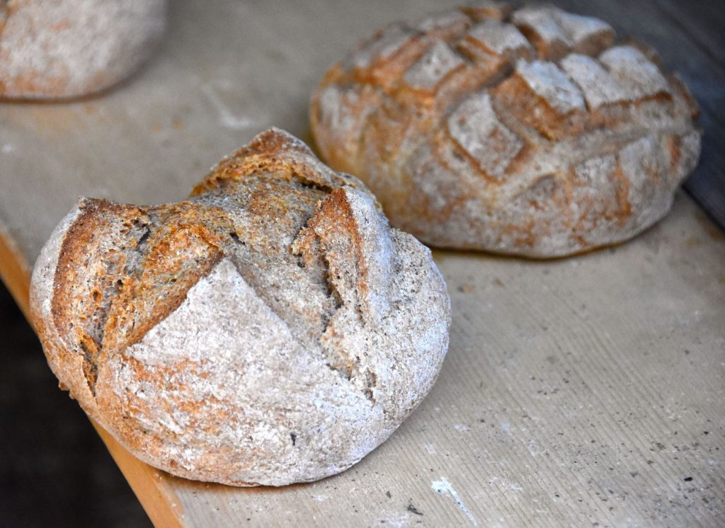 pane di segale