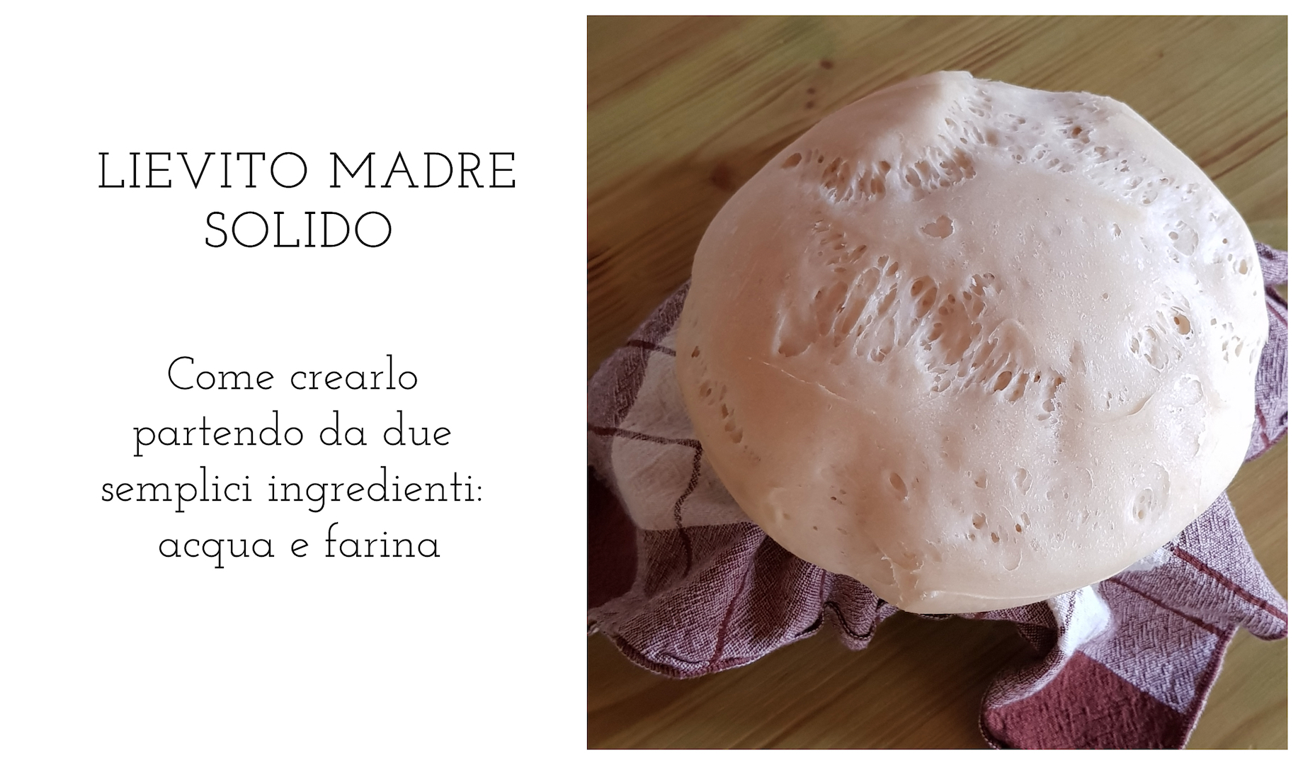 Lievito madre solido: come si crea – Profumo di Broccoli