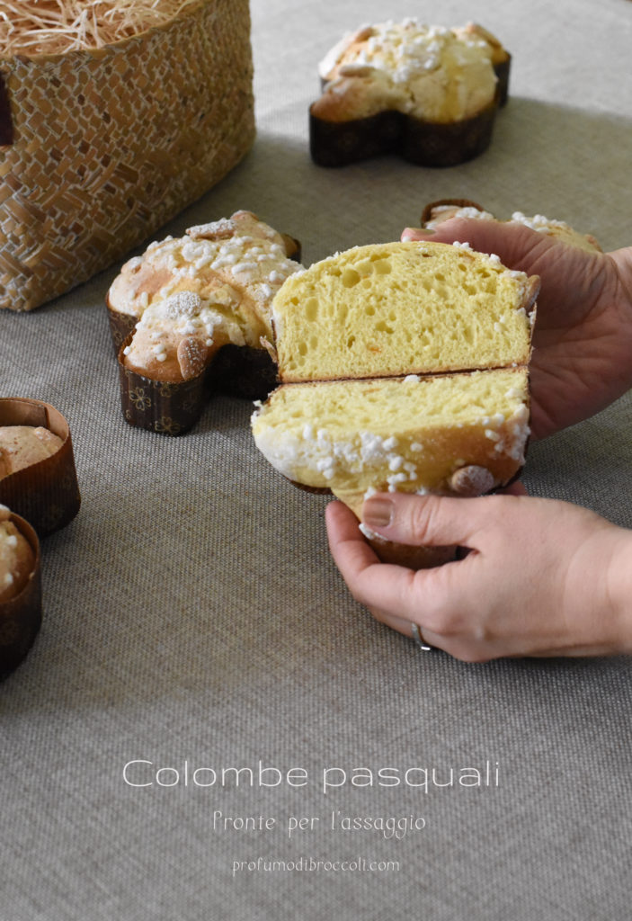 colomba classica ricetta morandin