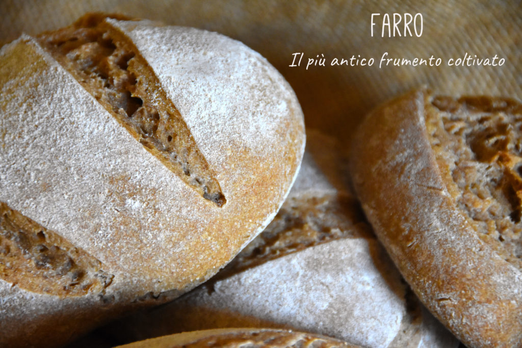 farro-pane