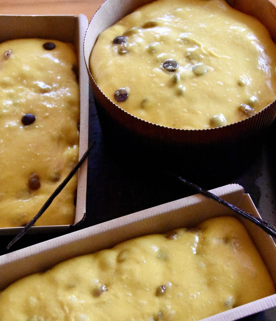 panettone cioccolato