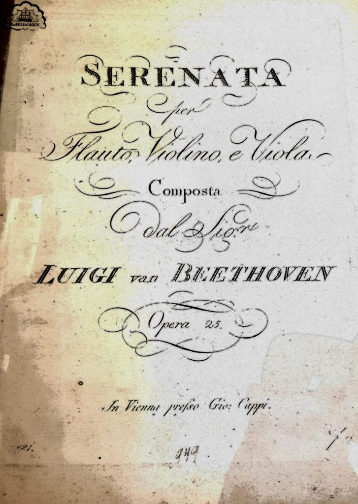 Beethoven a Vienna