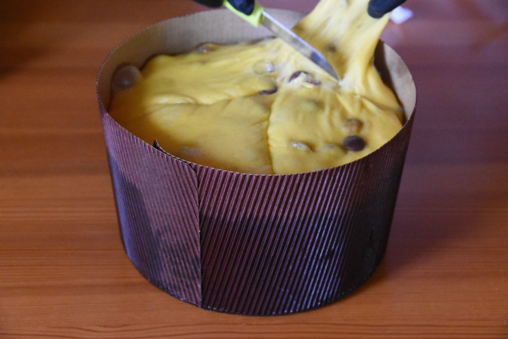 SCARPATURA PANETTONE