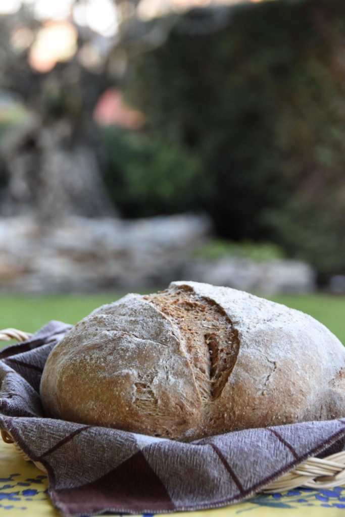 farina integrale pane