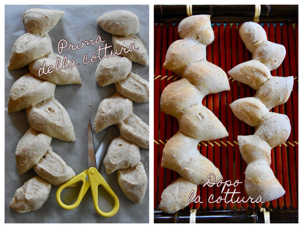 pane spiga di grano