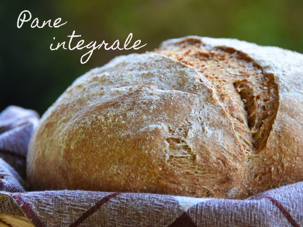 farina integrale pane