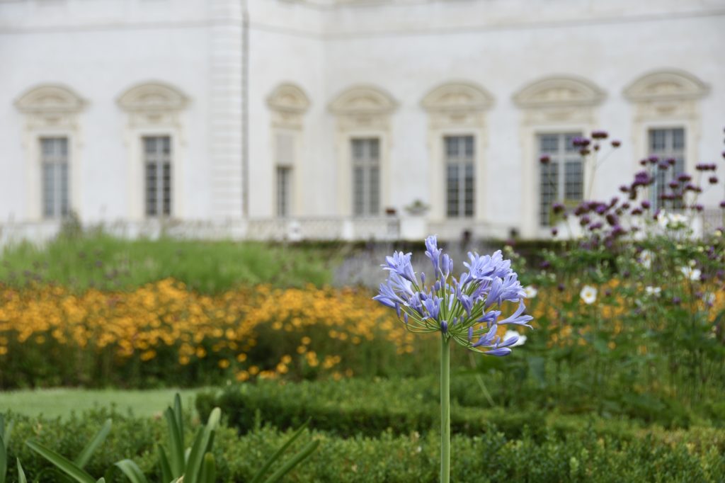 Reggia Venaria Reale