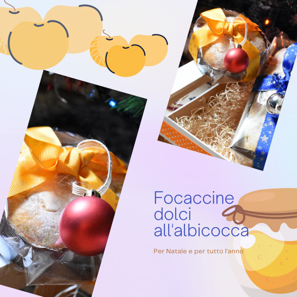 Focaccine albicocca