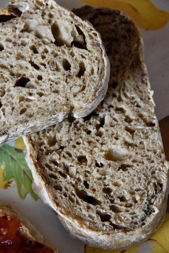 pane segale semi misti