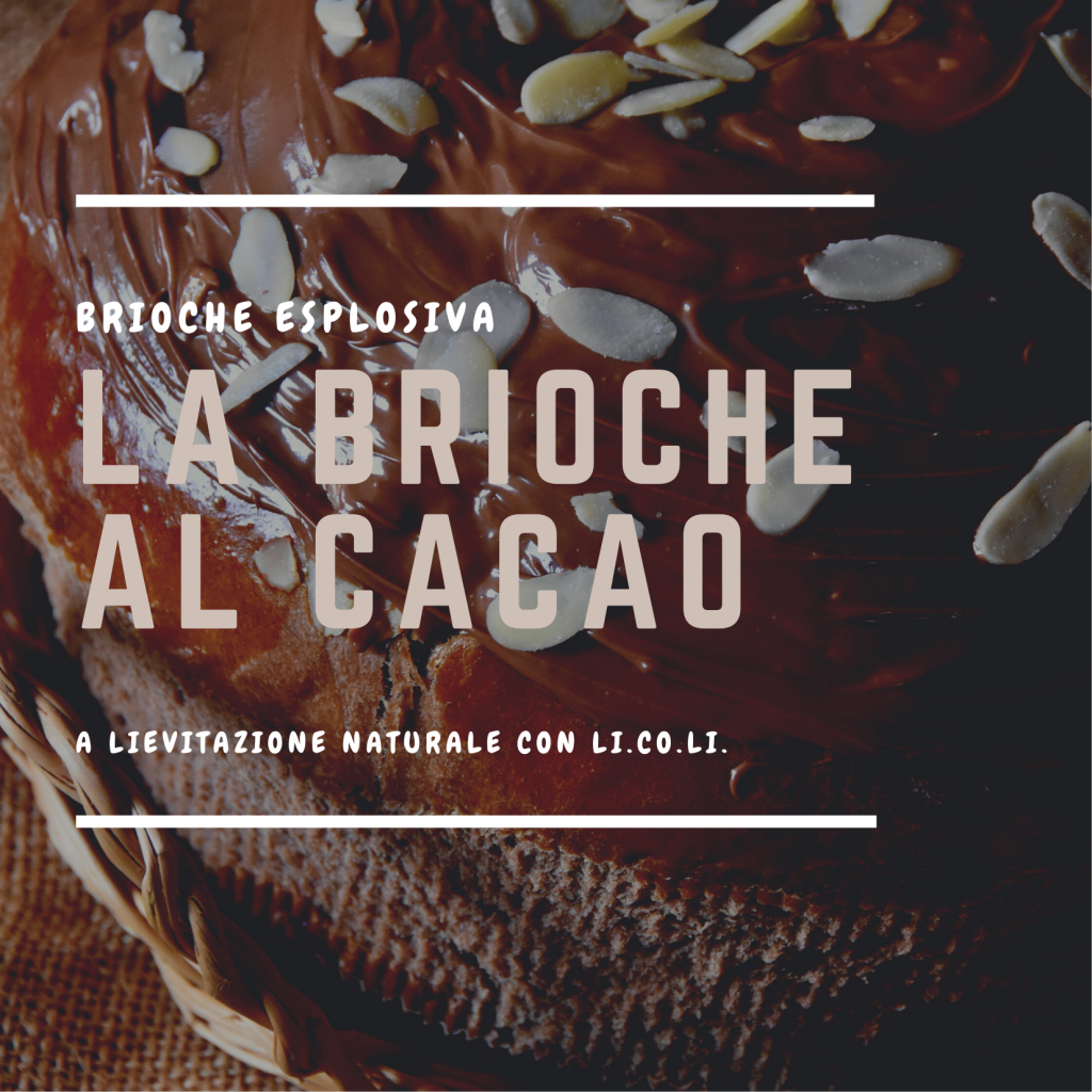 brioche cacao lievito madre