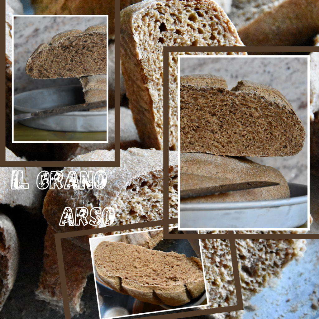 pane grano arso