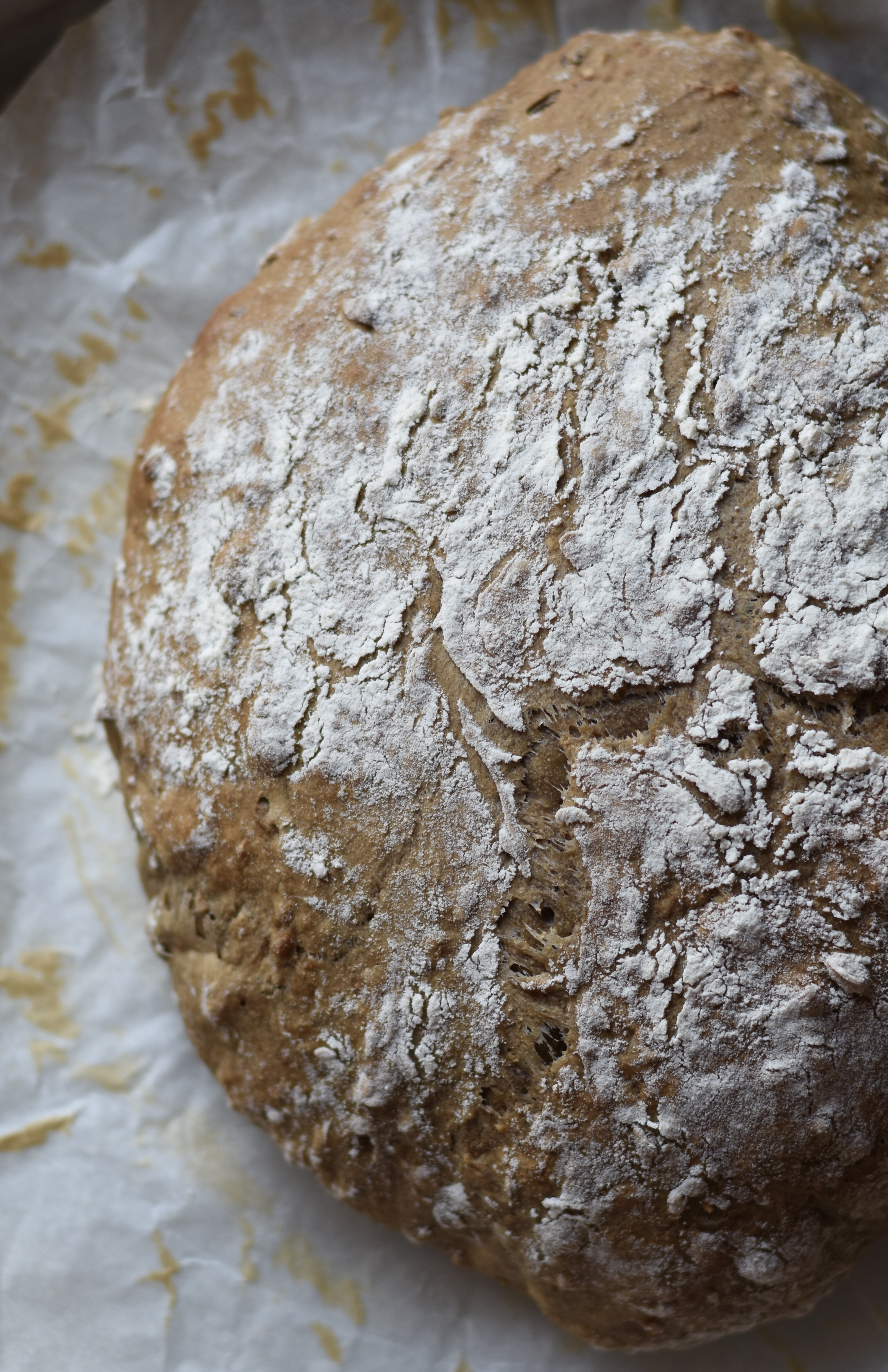 pane 100 per cento idratazione