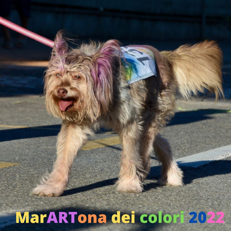 marARTona dei colori