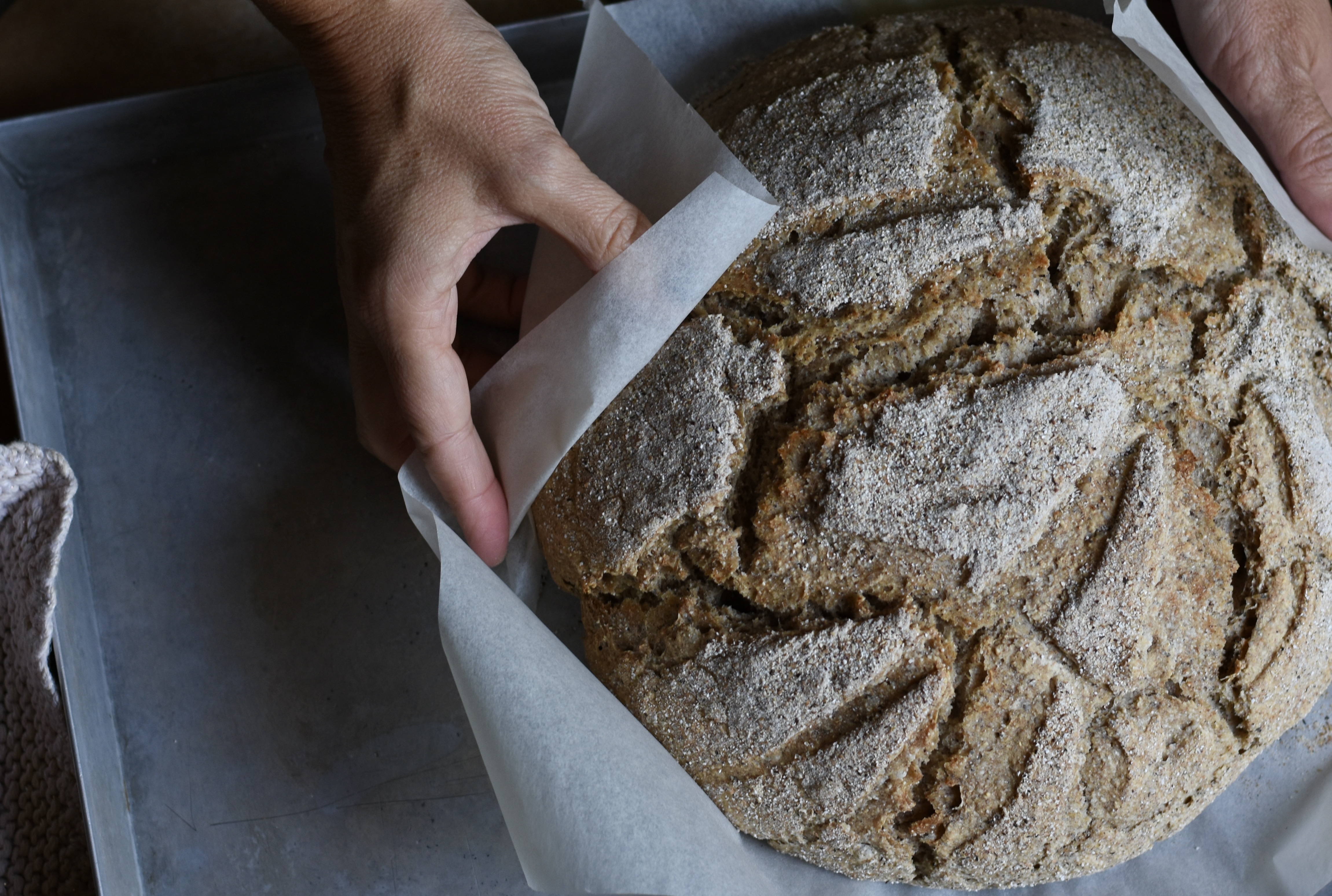 pane farina grano saraceno