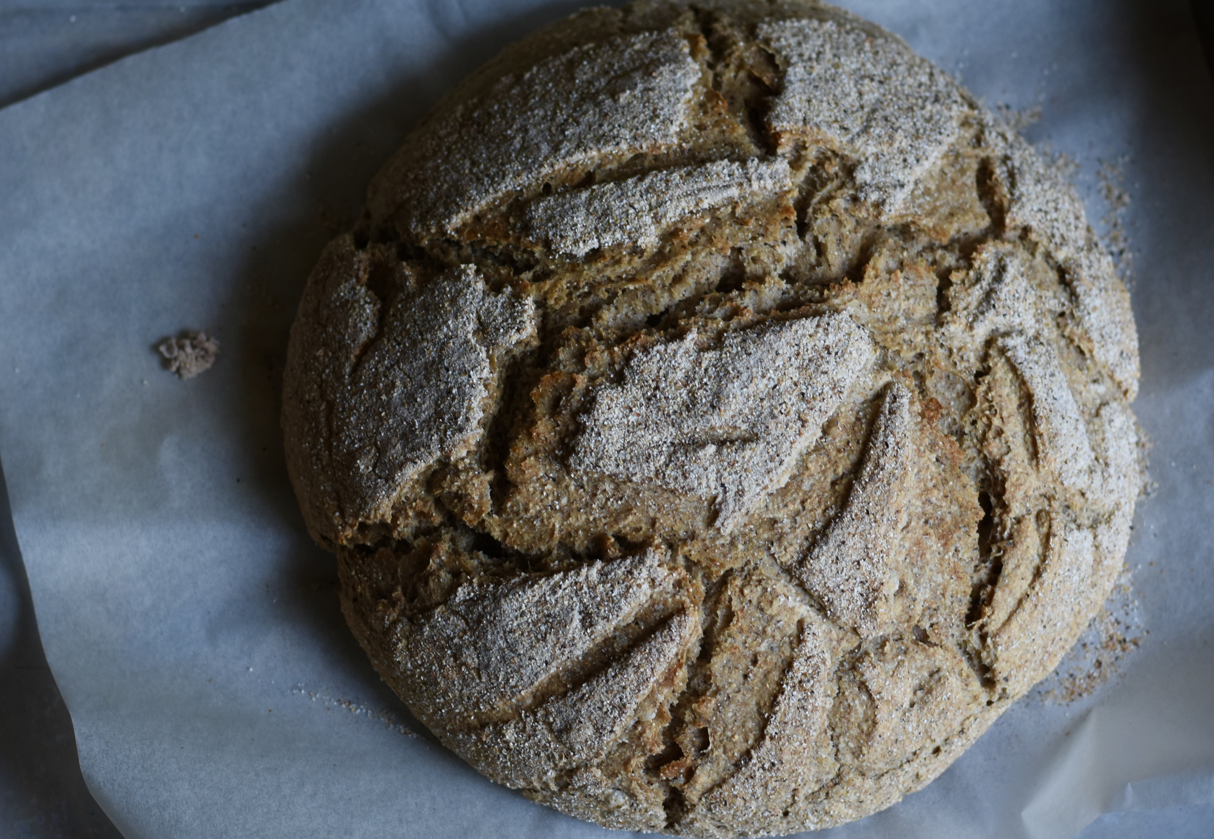 pane farina grano saraceno