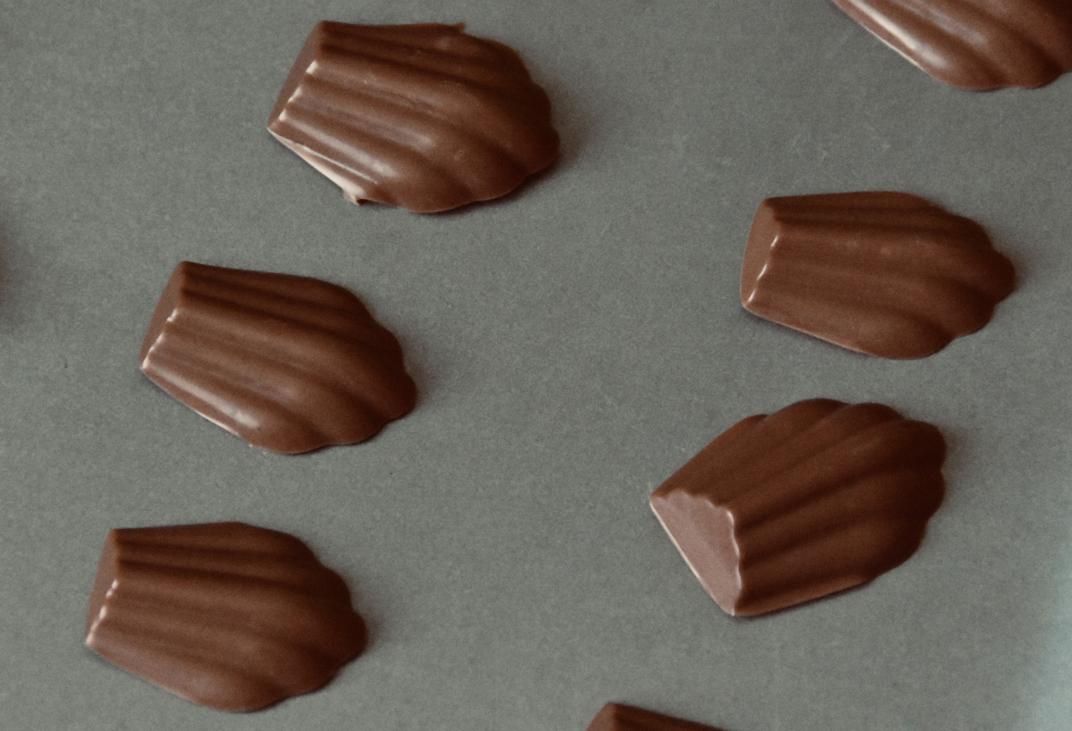 cioccolatini forma madeleine