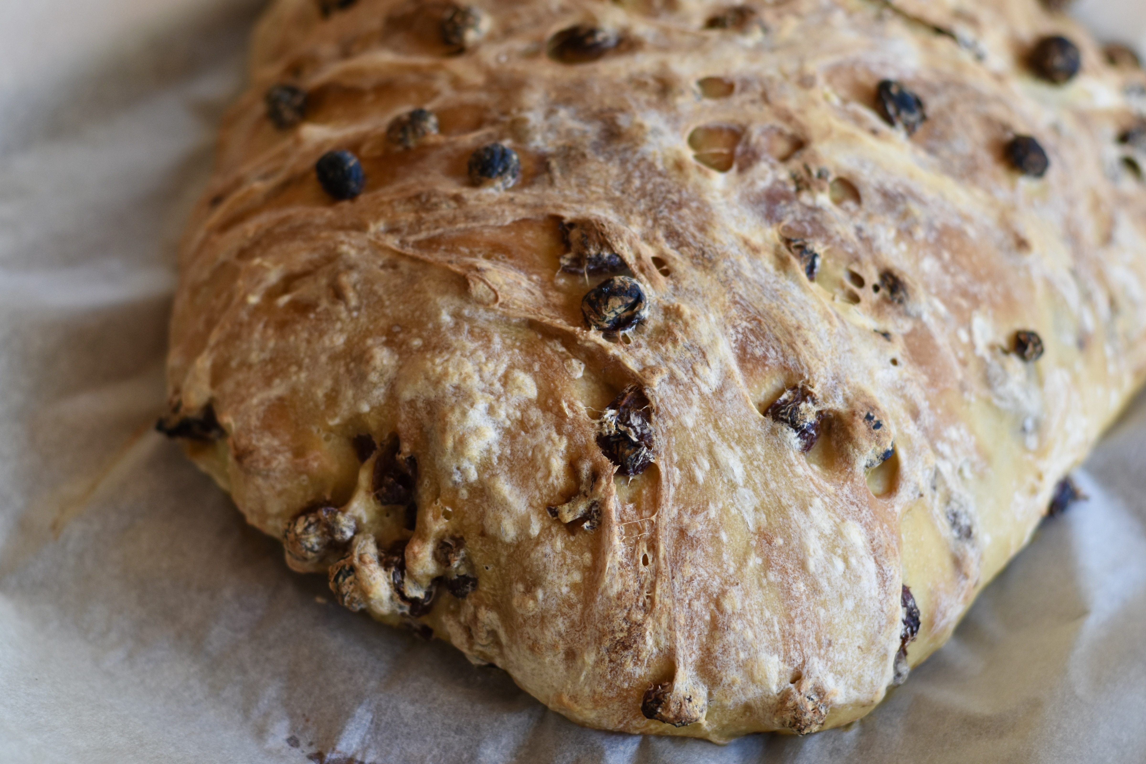 pane ciabatta uvetta