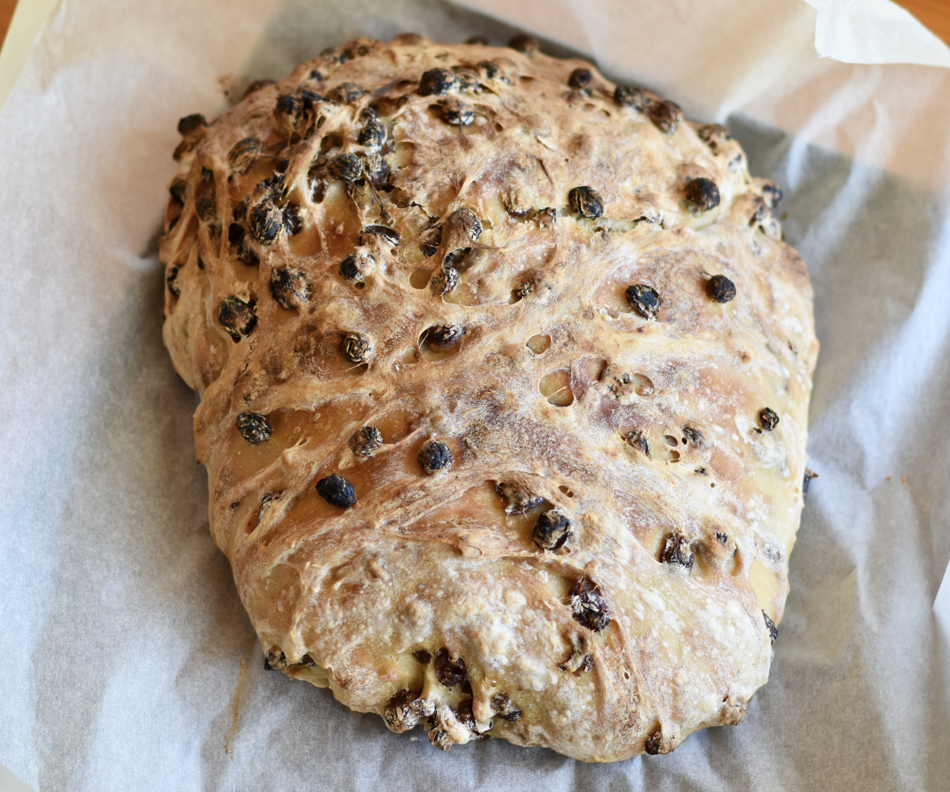 pane ciabatta uvetta