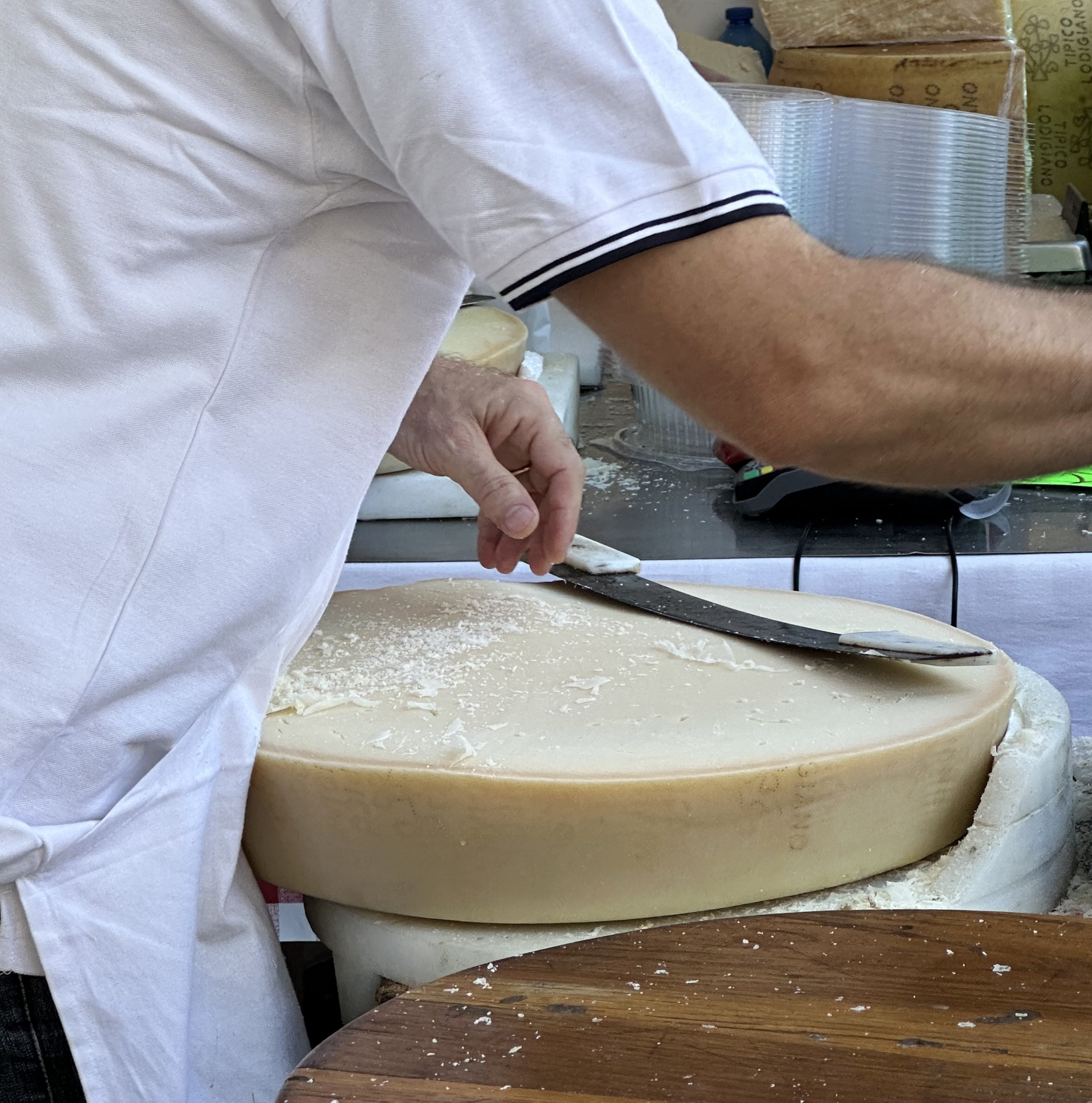 le forme del gusto 2023
